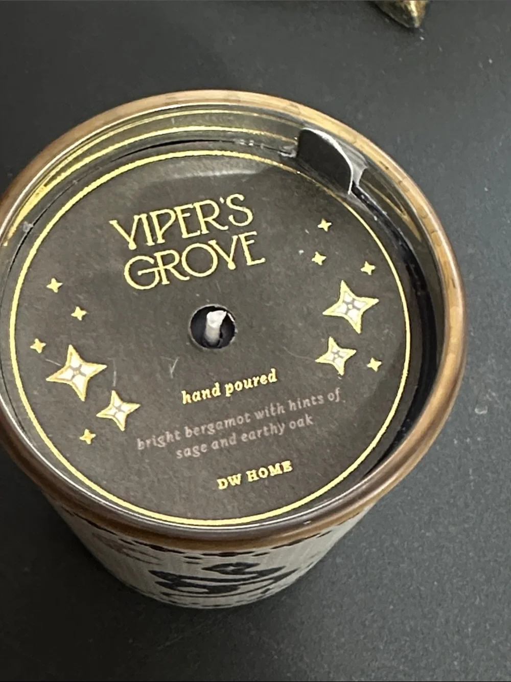 DW home Halloween viper decor candle 8.8 ozs